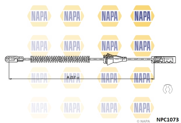 NPC1073