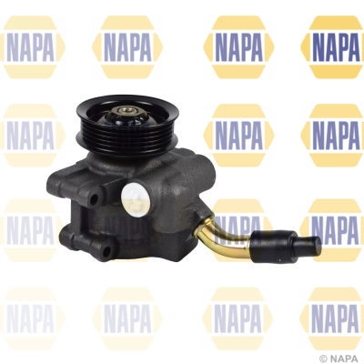 NPS1012