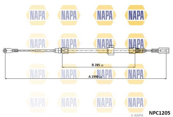 NPC1205