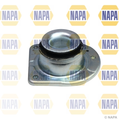 NKM1107