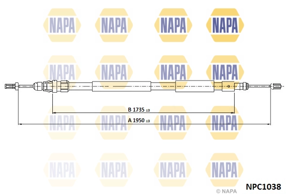 NPC1038