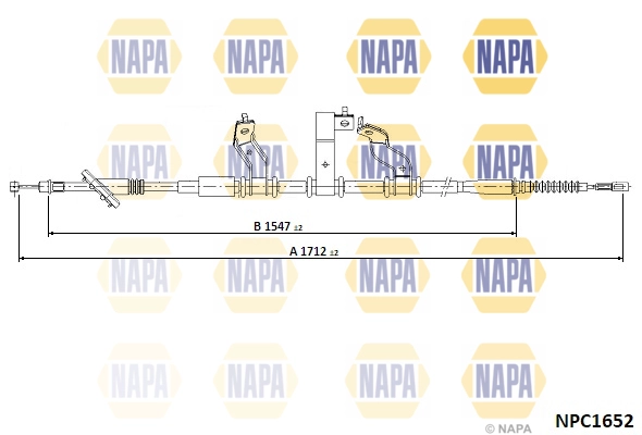 NPC1652