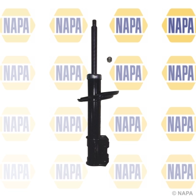 NSA1011