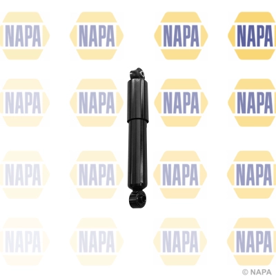 NSA1194