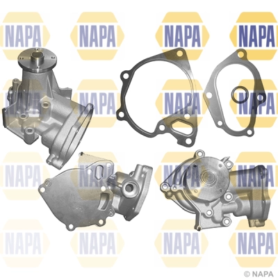 NWP1260