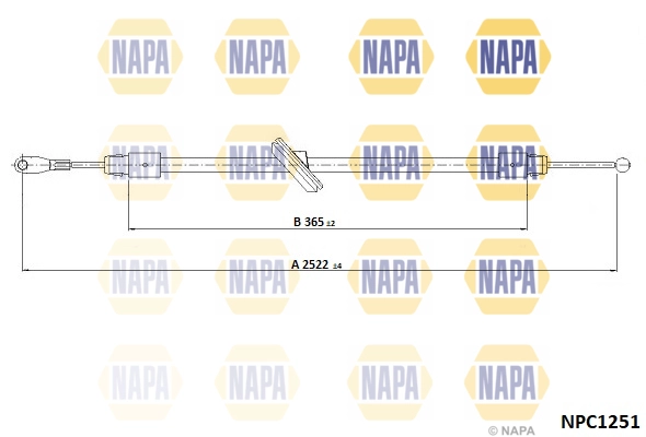NPC1251