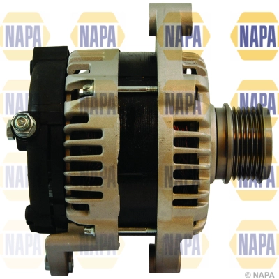 NAL1243