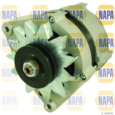 NAL2098