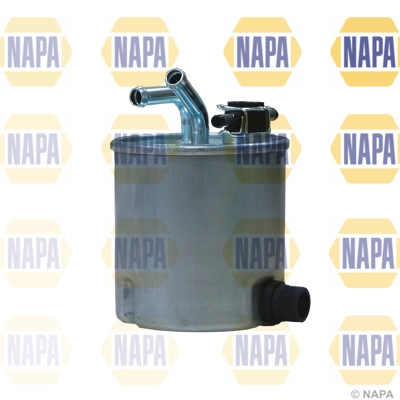 NFF2081