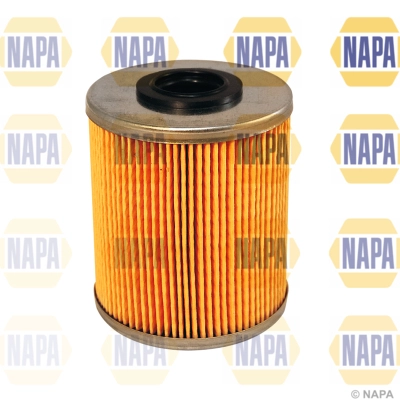 NFF2040