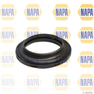NKM1012