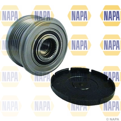 NOP1136
