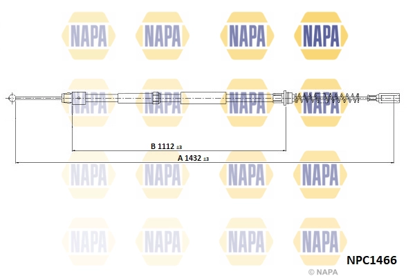 NPC1466