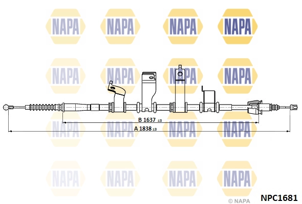 NPC1681