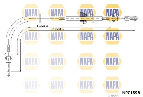 NPC1896