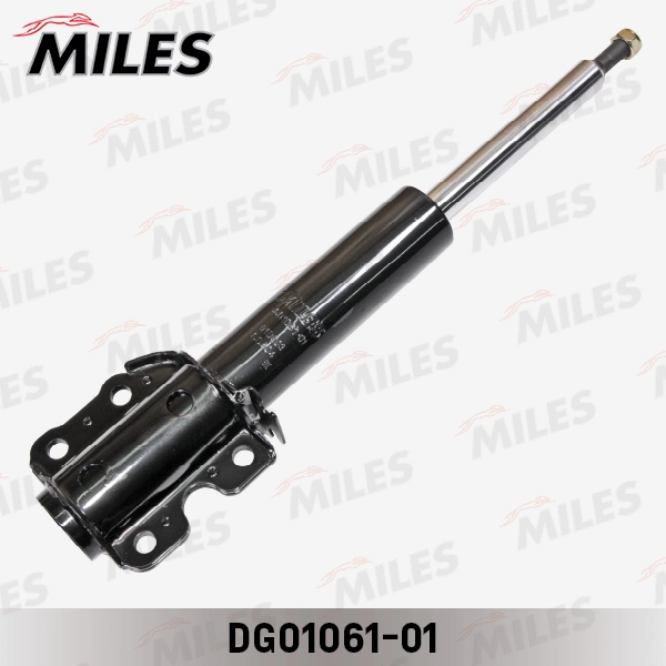 DG01061-01