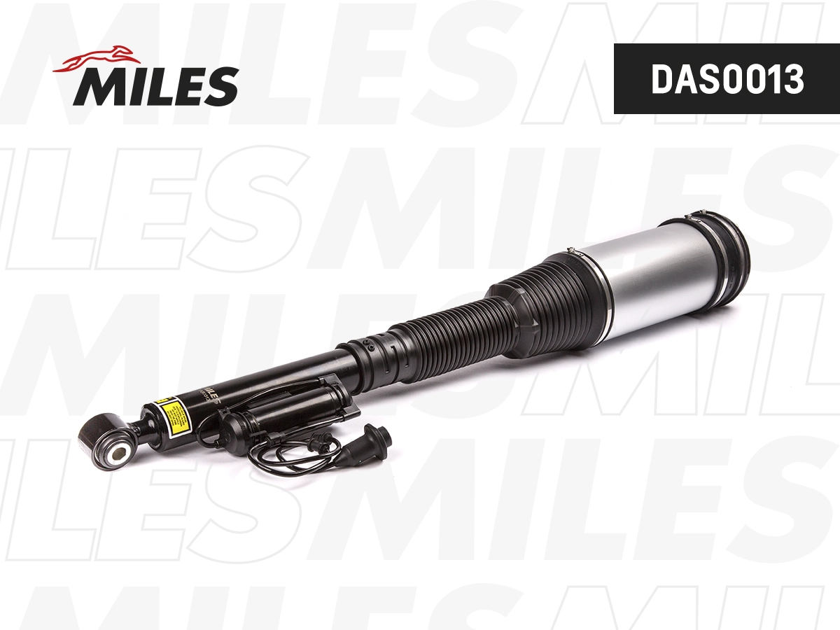 DAS0013