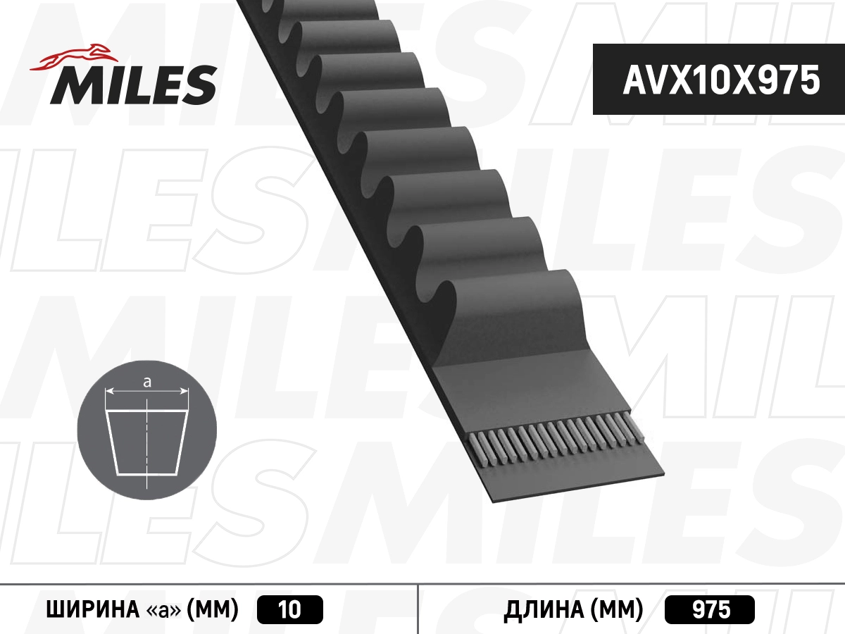 AVX10X975