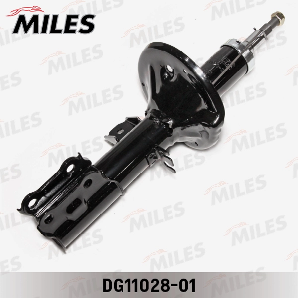 DG11028-01