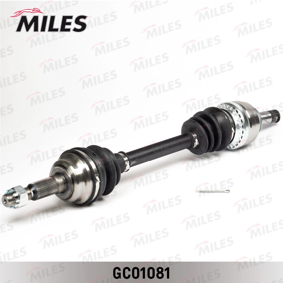 GC01081