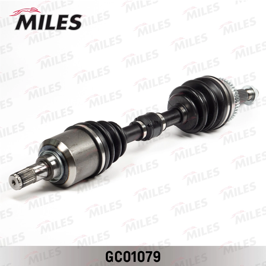 GC01079