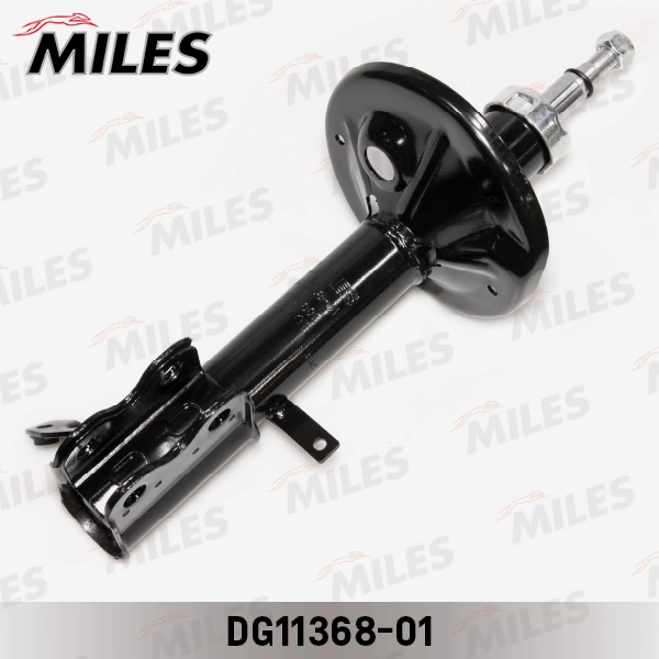 DG11368-01