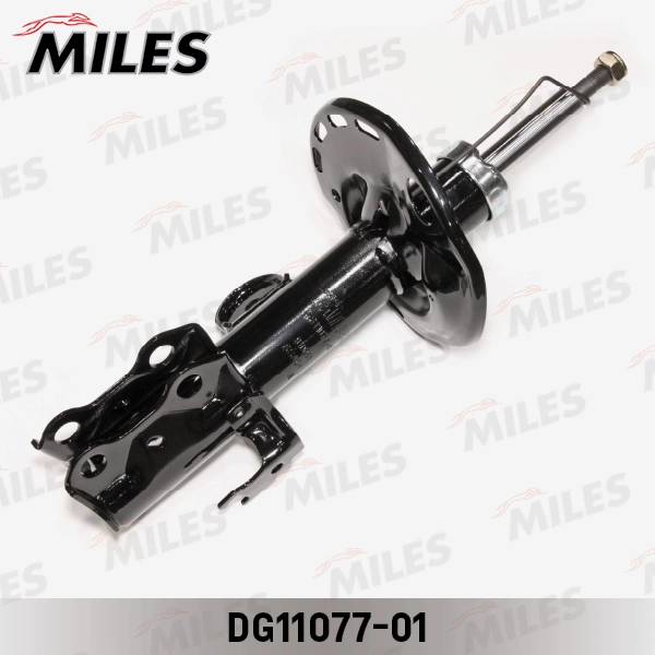 DG11077-01