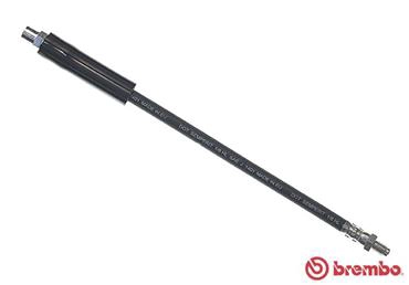T06001