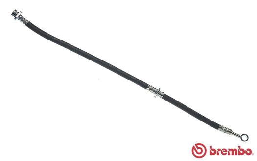 T56046