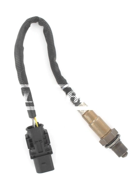 LLB554