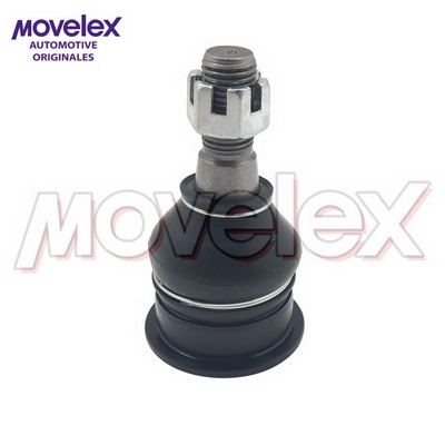 M20581