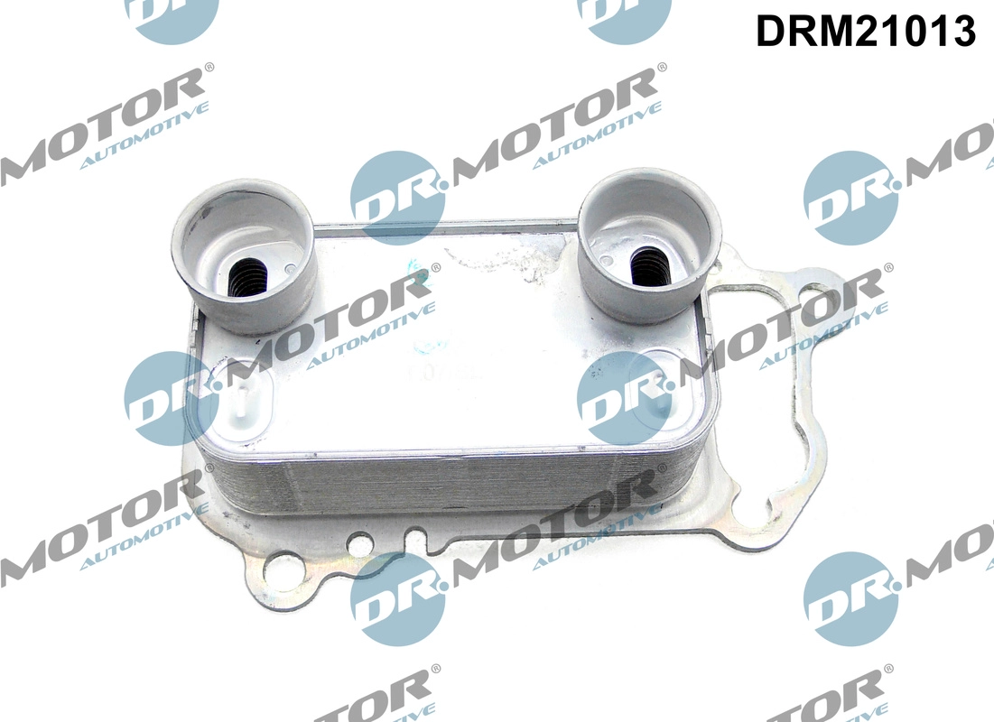 DRM21013