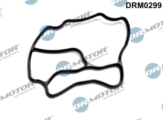 DRM0299