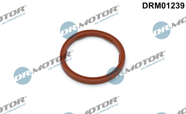 DRM01239