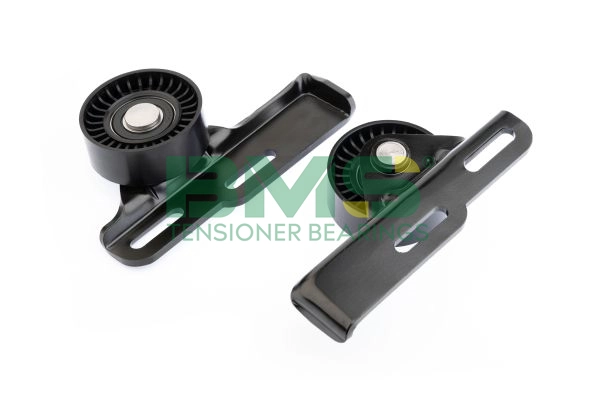BMS 004