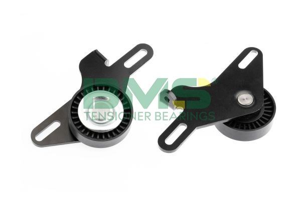 BMS 031