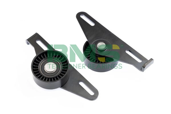BMS 003