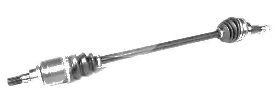 396005911R