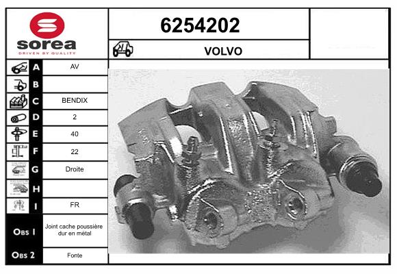 6254202