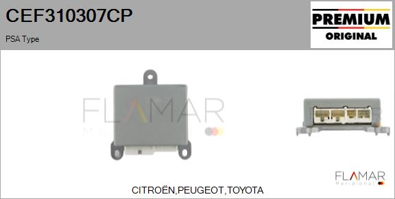 CEF310307CP