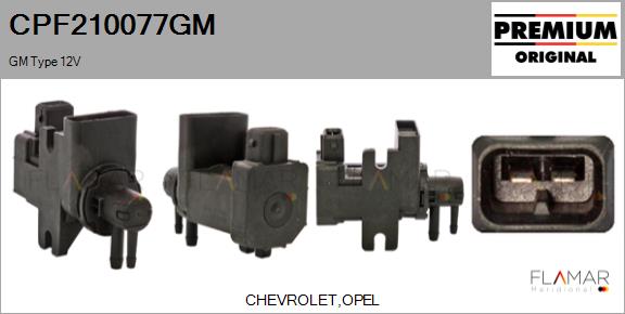 CPF210077GM