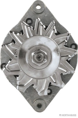 32034650
