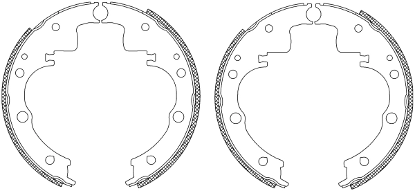 MSK023