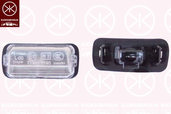 Фонарь указателя поворота Лев/Прав *KLOKKERHOLM* CITROEN BERLINGO |--->05510850 / TYC 15-0219-00-2