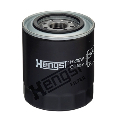 H209W