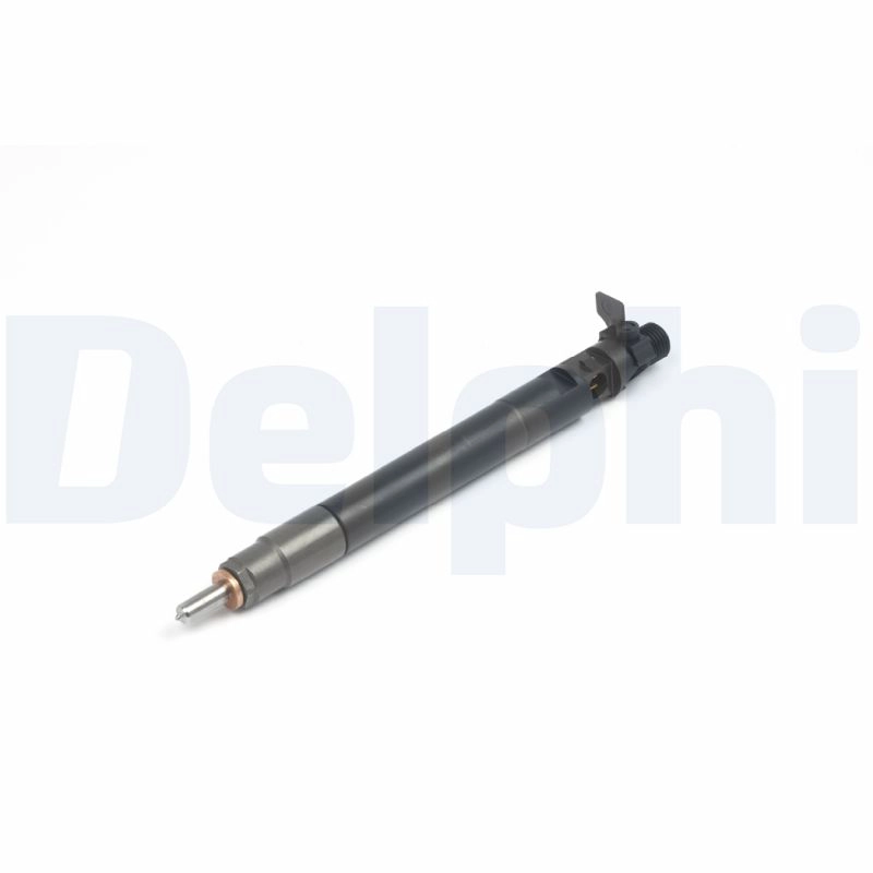 R00101DP