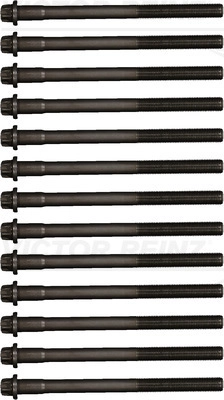 51900200421 (13X)